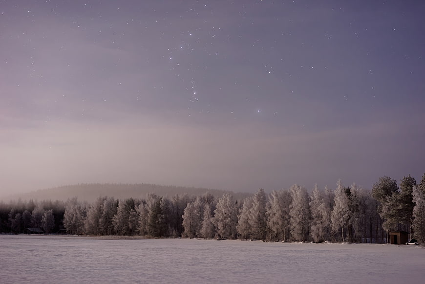 Serene Winter Night Landscape with Starry Sky and Snowy Forest