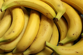 Close-up of Fresh Ripe Yellow Bananas