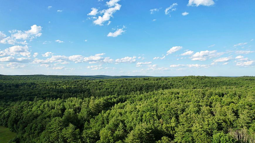 Aerial View of Lush Green Forest Under Blue Sky