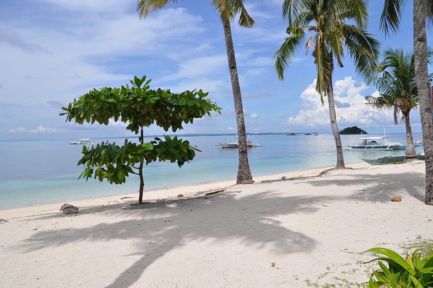Tropical Beach Scene With Palm Trees And Ocean View