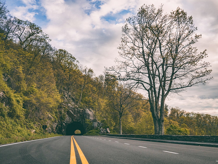 Asphalt road leading to tunnel in autumn forest landscape
