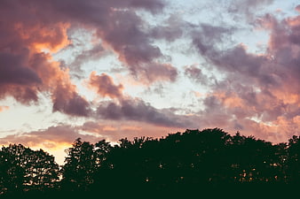 Dramatic sunset clouds over dark forest silhouette