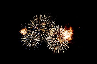 Golden Fireworks Bursting in Night Sky