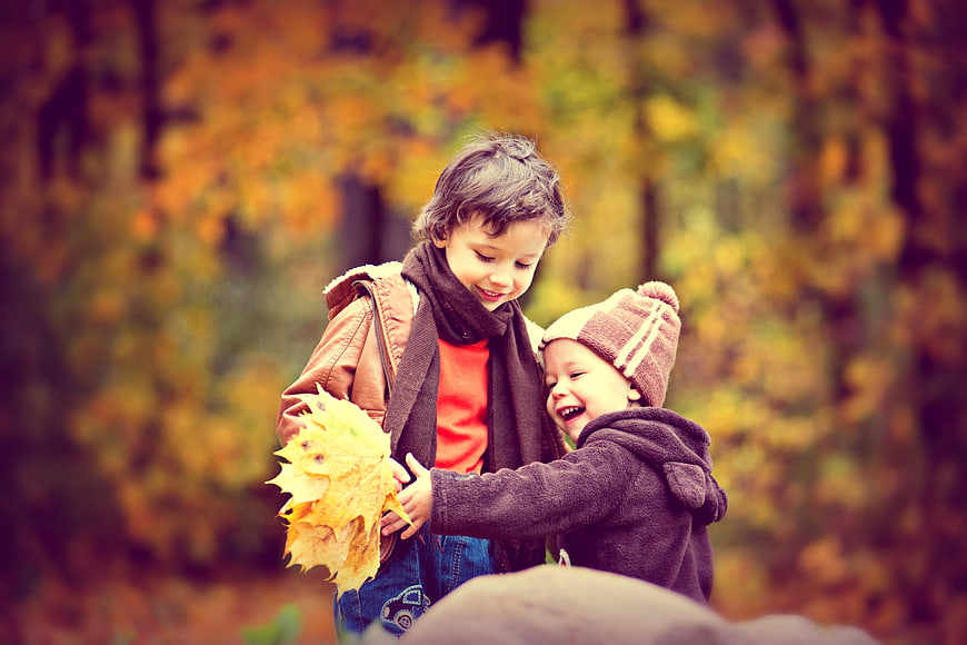 Two young boys playing with autumn leaves in a colorful forest