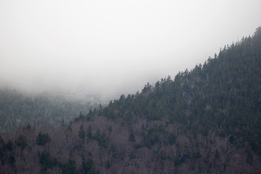 Misty Mountain Forest Landscape with Foggy Slopes