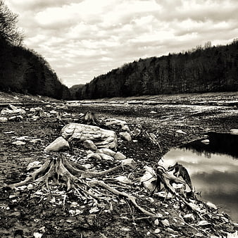 Sepia-toned dry riverbed with exposed tree roots and forest hills