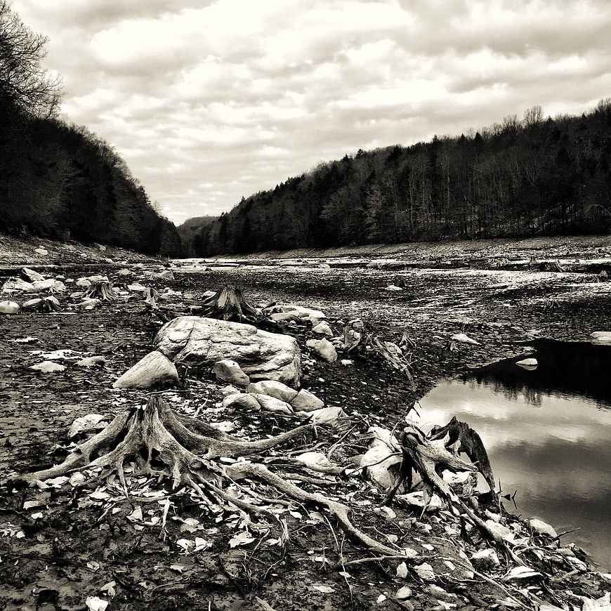 Sepia-toned dry riverbed with exposed tree roots and forest hills