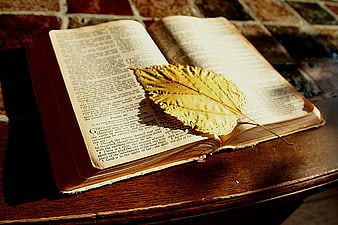 Open Bible with Golden Leaf Bookmark on Wooden Table