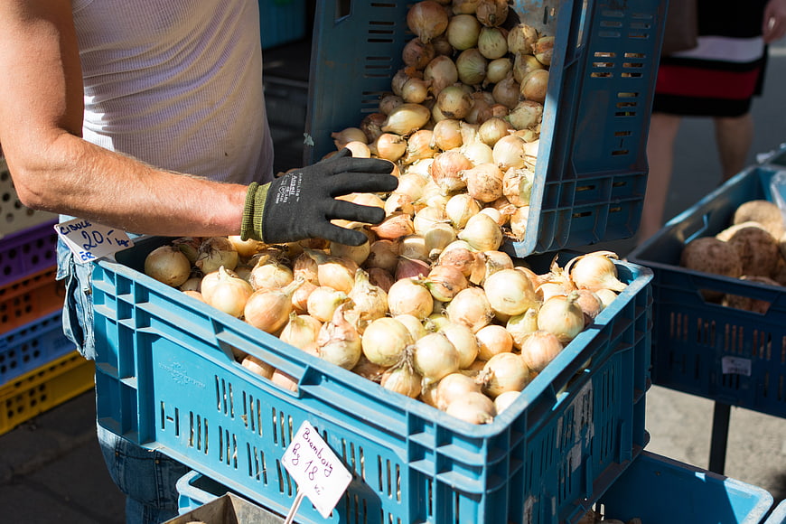 Farmer pouring fresh onions into blue crate at market