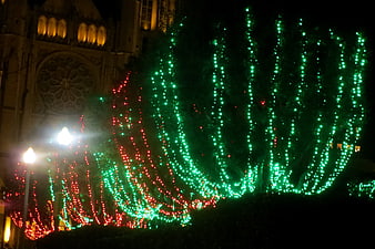 Glowing Red and Green Christmas Lights on Trees at Night