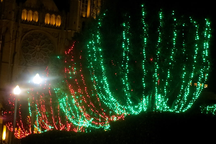 Glowing Red and Green Christmas Lights on Trees at Night