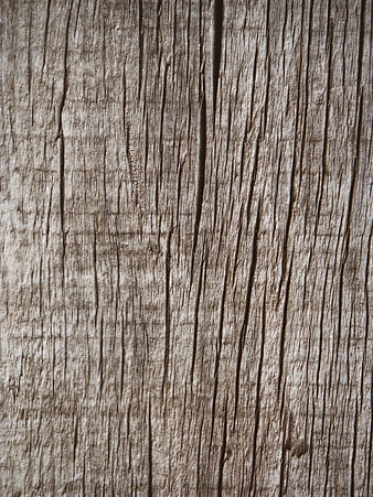 Close-up of weathered old wood texture with vertical grain