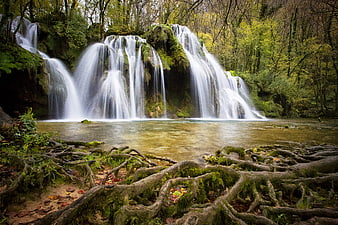 Mossy Waterfall in Lush Forest with Exposed Roots