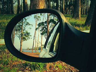 Car Side Mirror Reflecting Lake and Trees in Forest