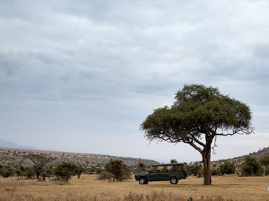 Safari Jeep Parked Under Acacia Tree in African Savanna