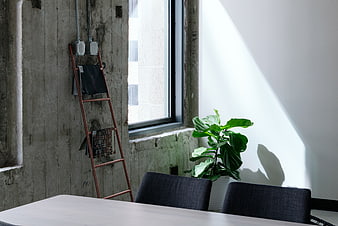 Modern industrial interior with concrete wall and sunlight