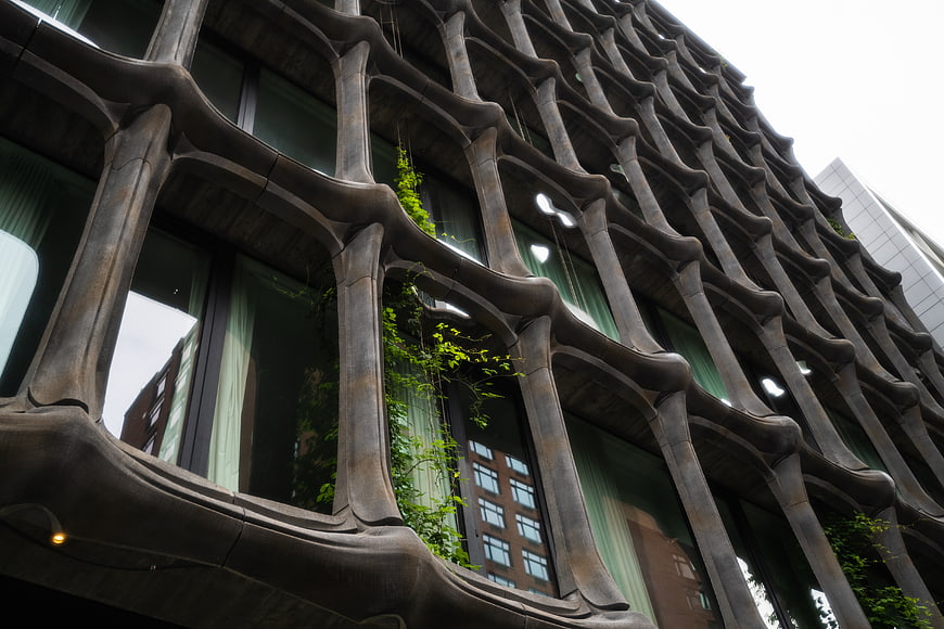 Modern Organic Architecture Facade with Greenery