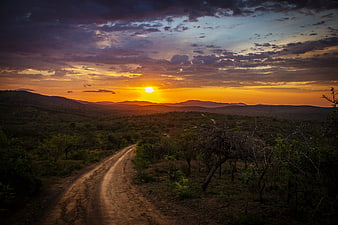 Dramatic Sunset Over Winding Dirt Road in African Savanna