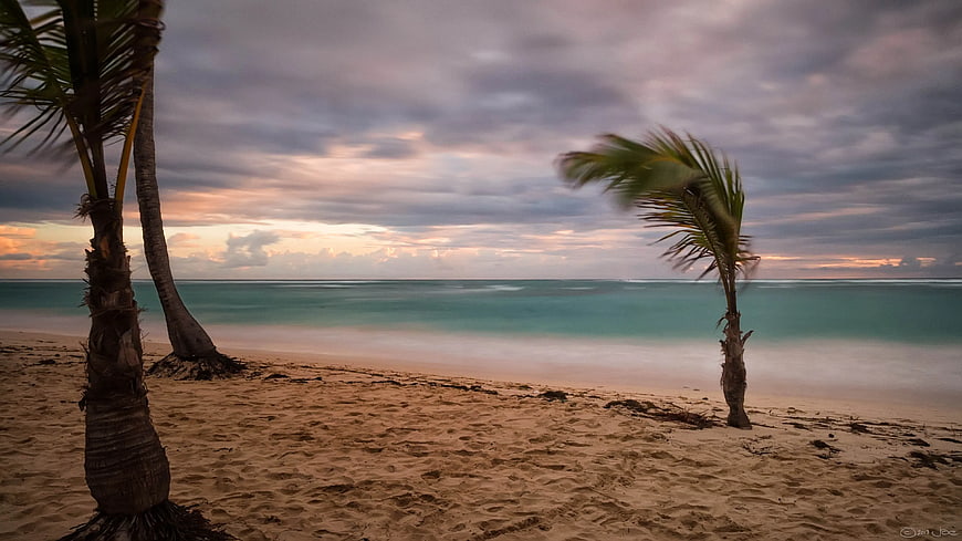 Long Exposure Tropical Beach with Palm Trees at Sunset