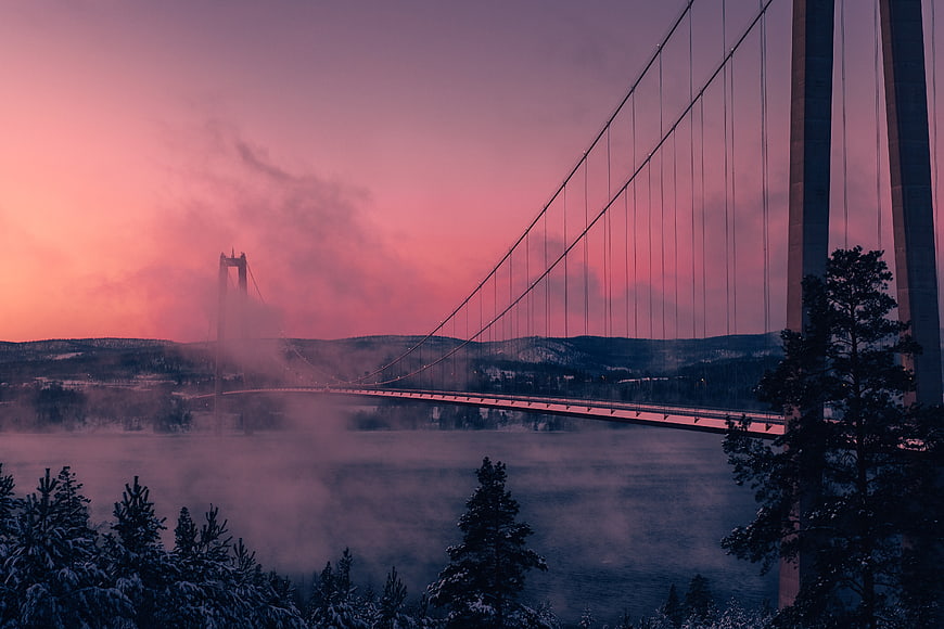 Misty Suspension Bridge at Pink Sunset Over Snowy Forest