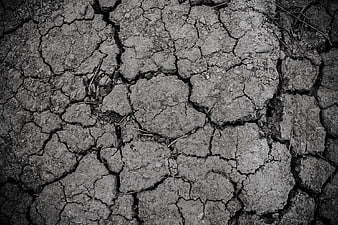 Black and White Texture of Cracked Dry Earth