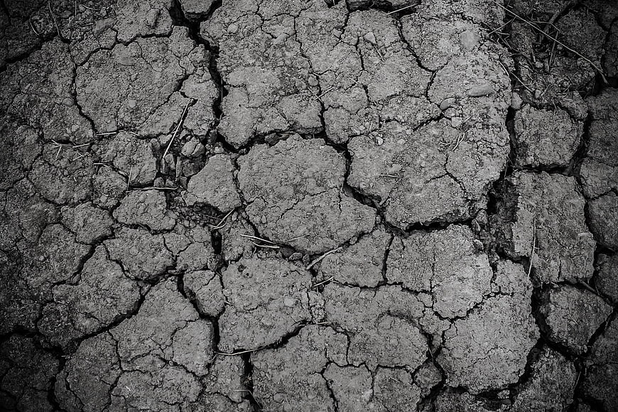 Black and White Texture of Cracked Dry Earth