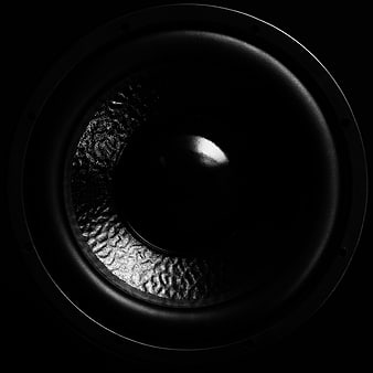 Dramatic Black and White Close-Up of a Subwoofer Speaker Cone
