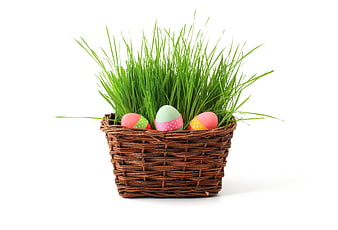 Easter basket with painted eggs and green grass on white background