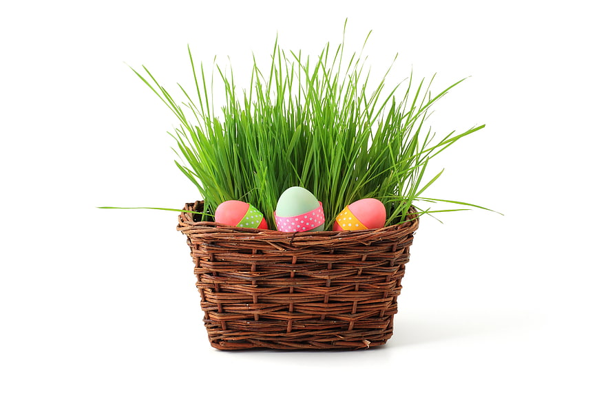 Easter basket with painted eggs and green grass on white background