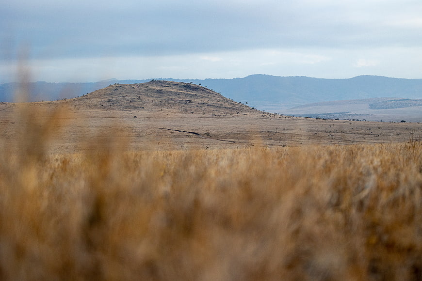 Dry grassy savanna landscape with distant hills and overcast sky