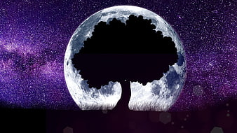 Silhouette of tree against full moon and purple galaxy background