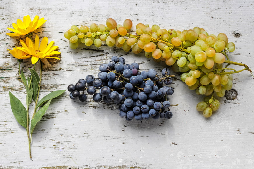 Fresh Grapes and Yellow Flowers on Rustic White Wood
