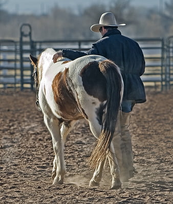Cowboy in White Hat Standing Beside Pinto Horse in Dirt Arena