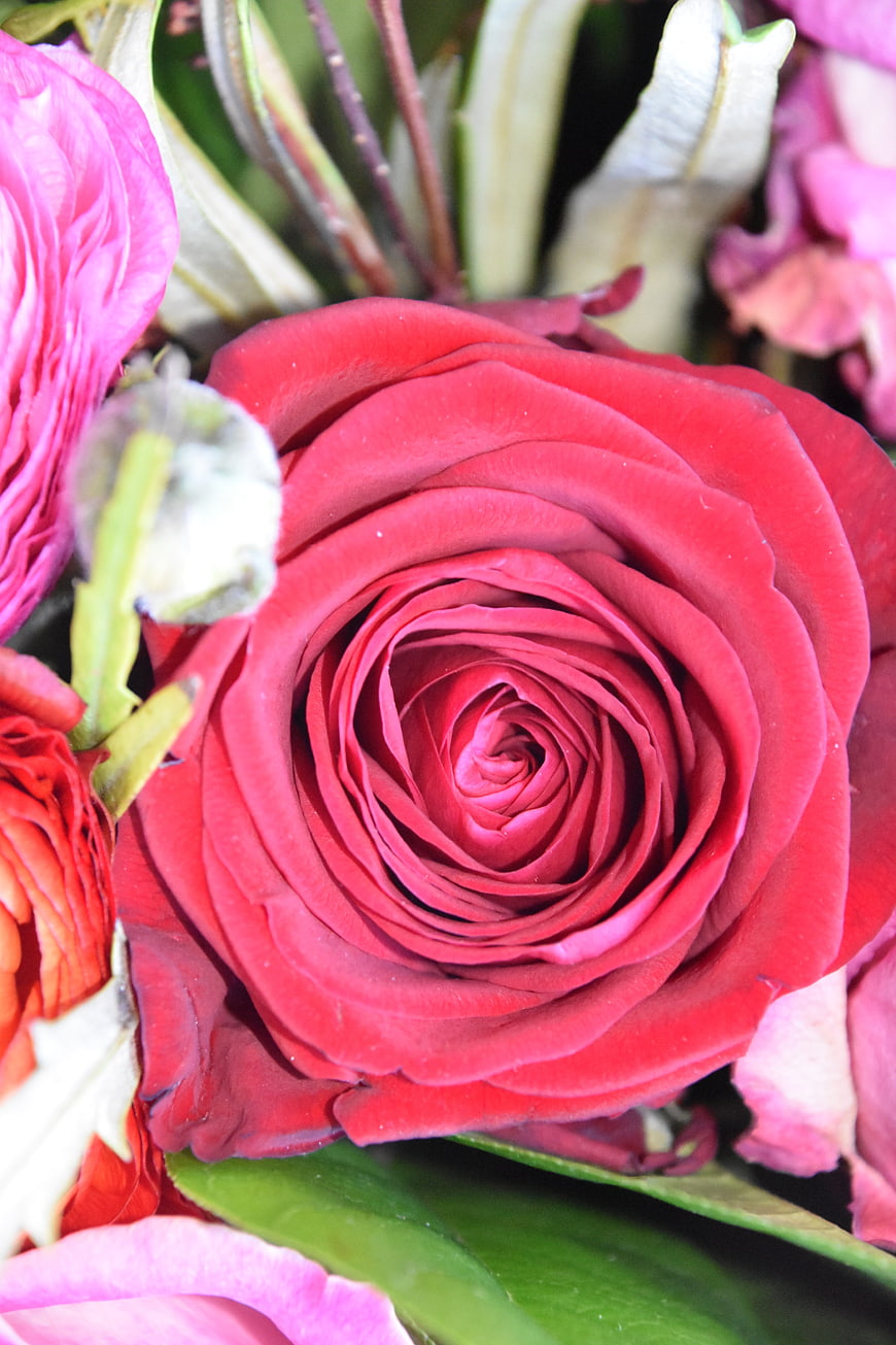 Close-up of a vibrant red rose in a floral bouquet
