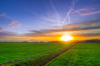 Vibrant Green Field at Sunset with Contrails