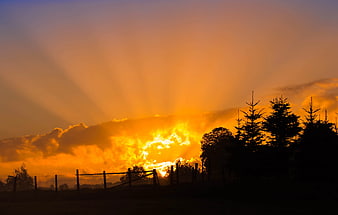 Dramatic sunset with sun rays over rural fence and trees