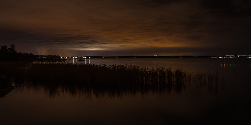 Dark Night Lake with Reeds and Distant City Lights