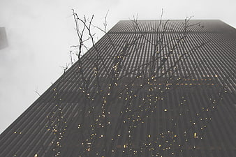 Low angle view of skyscraper through bare tree branches with lights