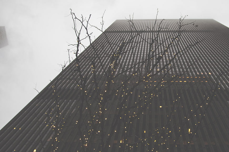 Low angle view of skyscraper through bare tree branches with lights