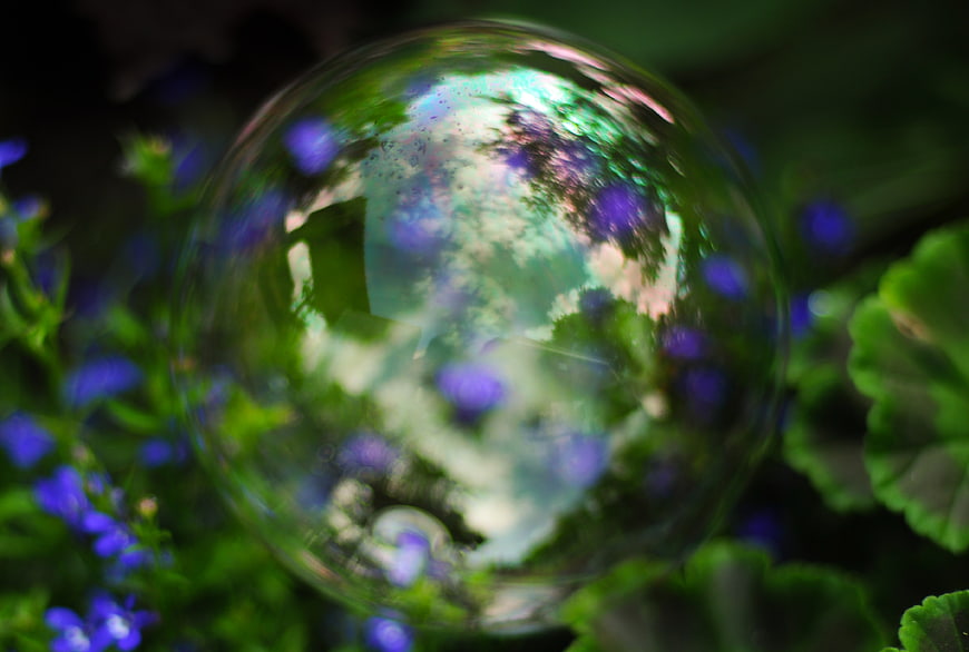 Close-up of iridescent soap bubble reflecting green foliage and purple flowers