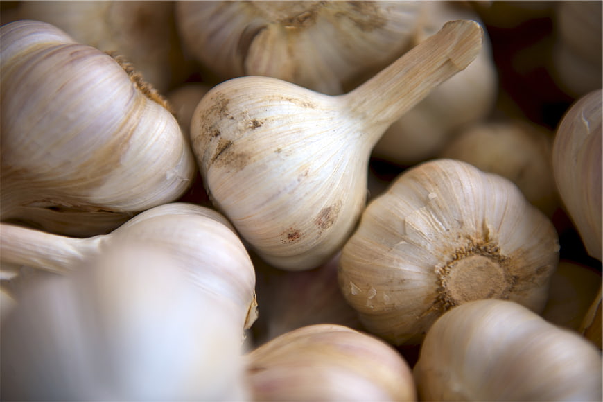 Close-up of fresh garlic bulbs with natural texture