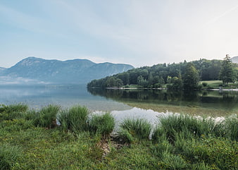 Serene Lake Landscape with Mountains and Green Shore