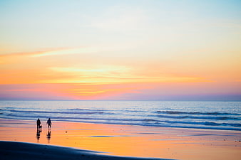 Silhouettes of Couple Walking Dog on Beach at Sunset