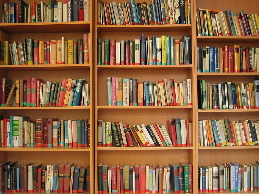 Colorful Books on Wooden Library Shelves