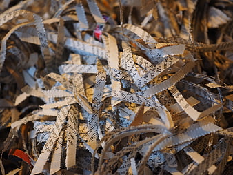 Close-up of shredded paper strips with visible text