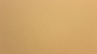 Close-up of textured beige paper background
