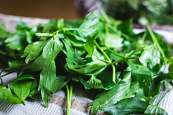 Fresh green parsley leaves on a textured kitchen towel
