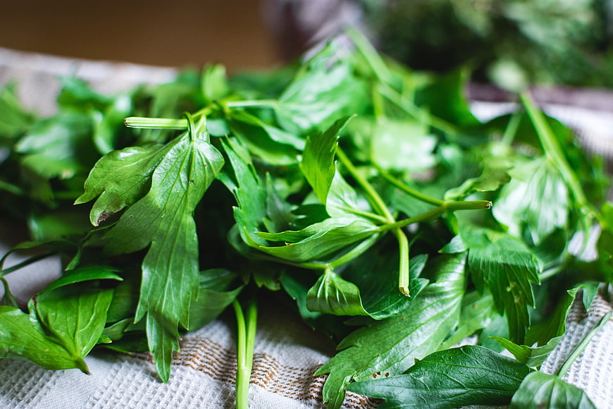 Fresh green parsley leaves on a textured kitchen towel