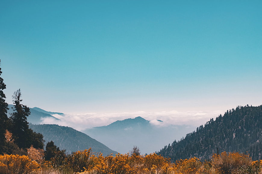 Misty Mountain Landscape with Golden Autumn Foliage