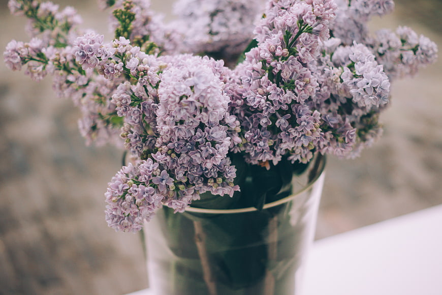 Fresh purple lilac bouquet in a glass vase